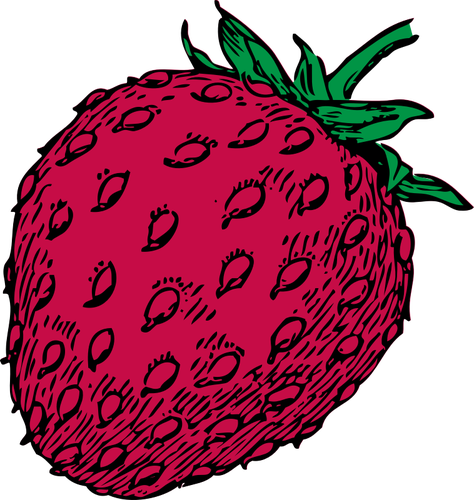 Vector de desen de fructe de căpşuni roşu