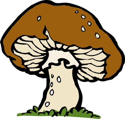 矢量图像的一个大蘑菇