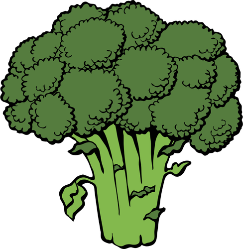 Vektor image av brokkoli
