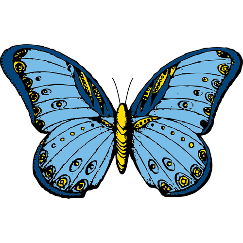 Синие и желтые бабочки векторные картинки