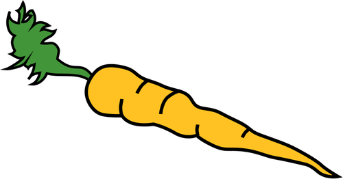 Gráficos vectoriales de zanahoria