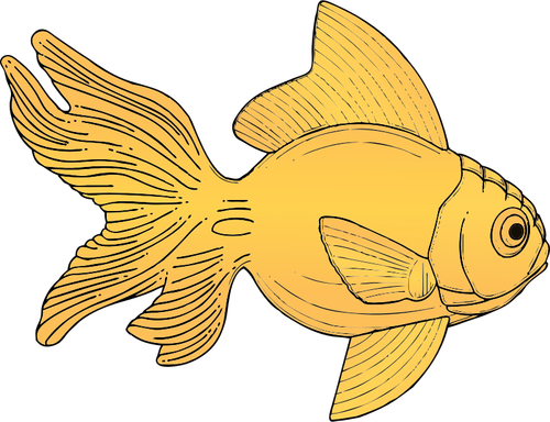 जेनेरिक नारंगी मछली चित्रण वेक्टर