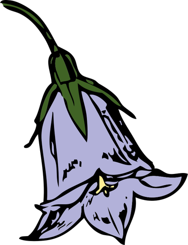 Vector illustraties van harebell bloem