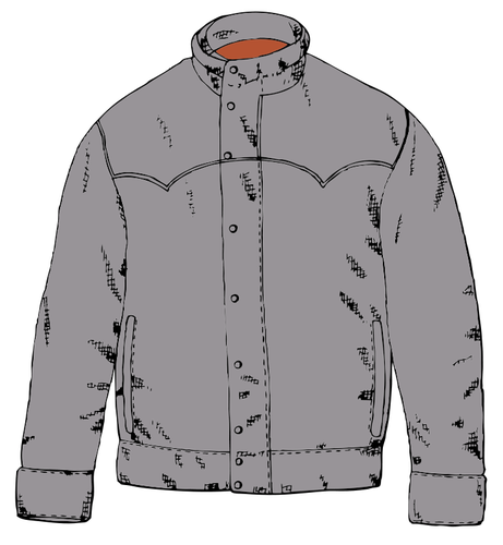 Jacket vector image