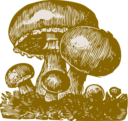 Image vectorielle de champignons