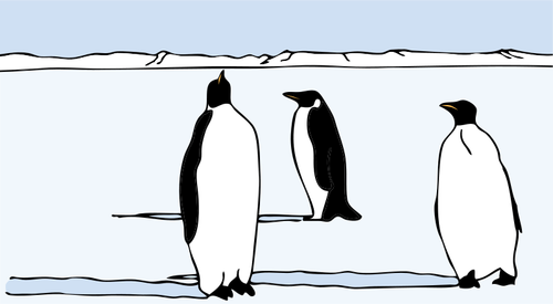 Pingviinien vektorikuva