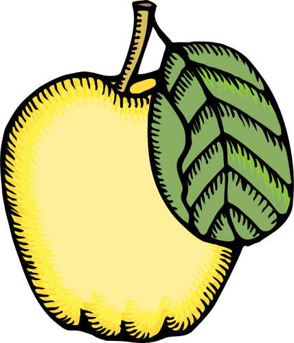 Vector image of quince