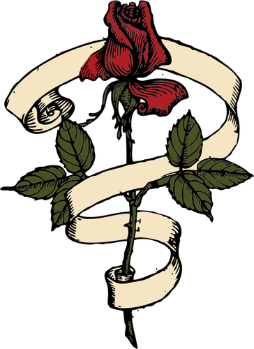 Rose met scroll vector tekening