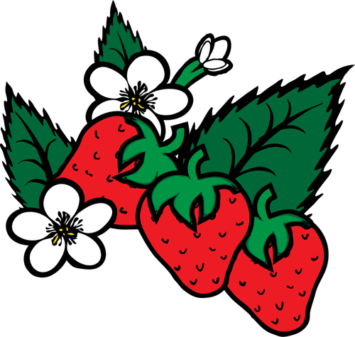 Vector afbeelding van vers geplukte aardbeien