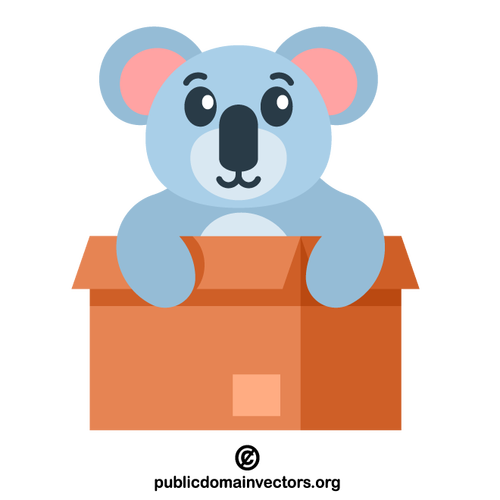 Koala en una caja