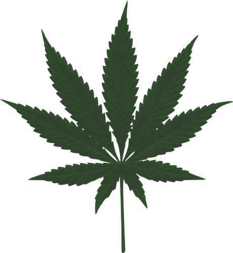 Cannabis leaf vector image