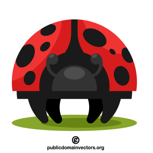 Ilustrace hmyzu Ladybug