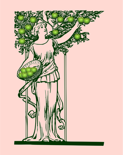Векторное изображение леди, сбор яблок