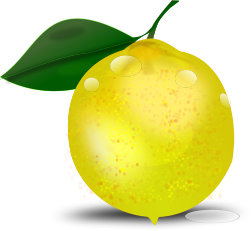 Fotorealistisk citron med ett blad vektor illustration