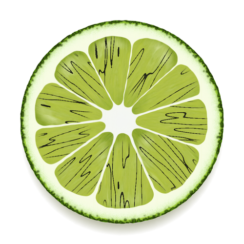 Lime Slice Vektor-Zeichenprogramm