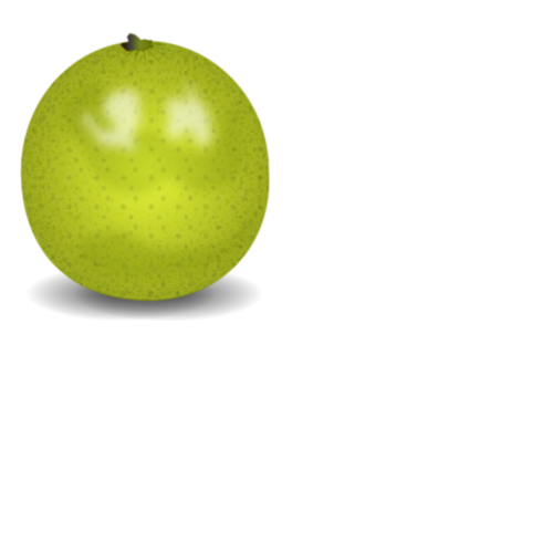Lime vektor image