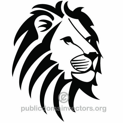 Lion vector image