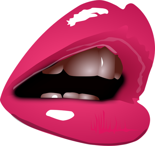 女性の口紅と唇をクローズ アップ ベクトル画像
