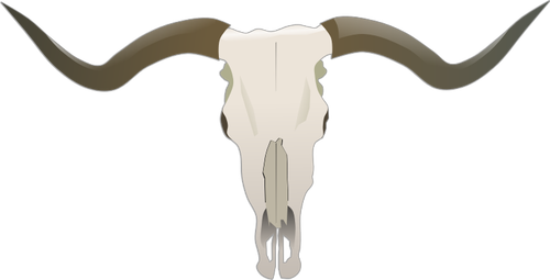 Image vectorielle de Longhorn crâne
