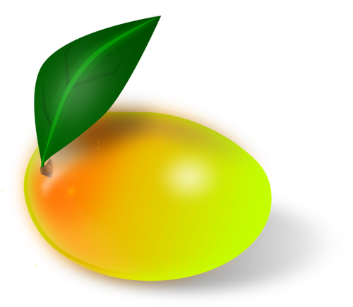 Mango frukt