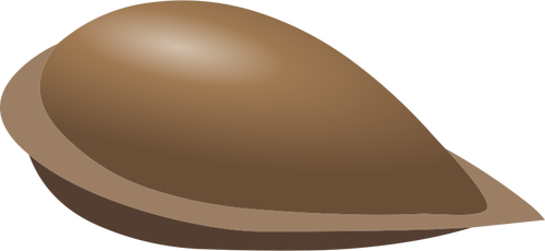 Векторное изображение яблочное семечко