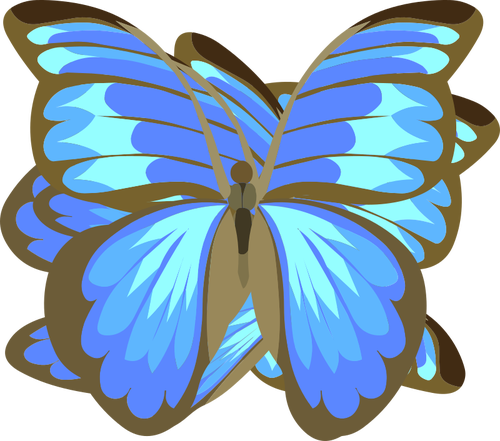 Papillon bleu dessin
