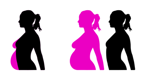 Vettoriale silhouette gravidanza