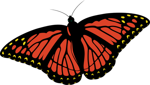 Monarch sommerfugl