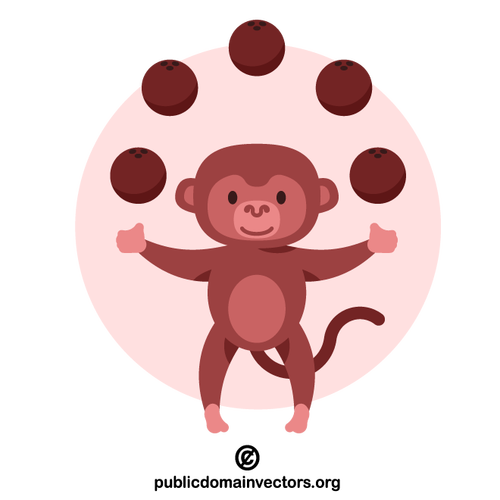 Małpa żongluje kokosami