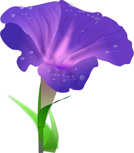 Vector illustraties van orchis