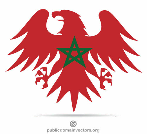 Marokko vlag Eagle