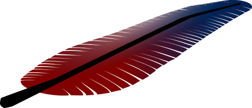Illustrazione di vettore della piuma rossa e blu inclinato