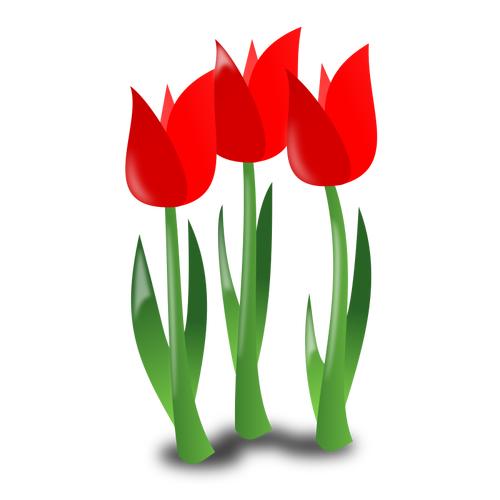 Três tulipas