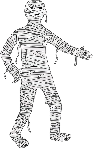 Walking mummy vector image