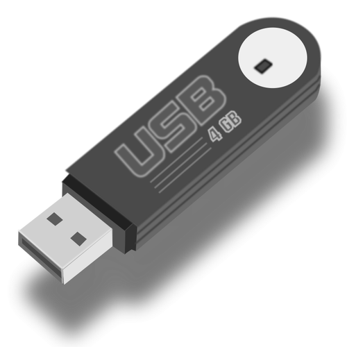 Flash USB 棒与阴影矢量图