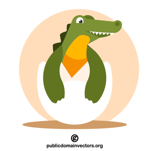 Nowonarodzony krokodyl