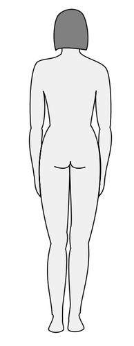 Vettore di sagoma del corpo femminile
