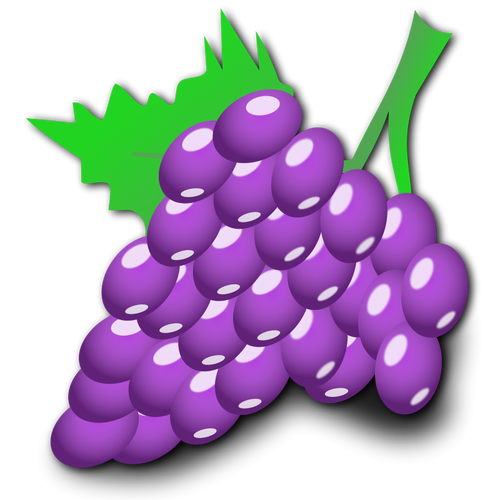 Illustrazione vettoriale di uve