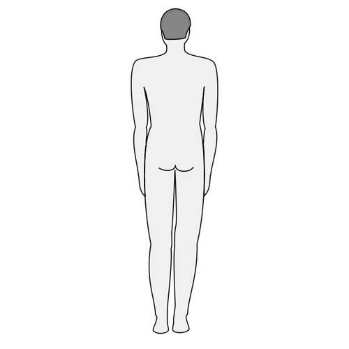 Erkek vücut siluet vektör küçük resim