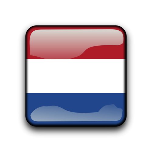 Кнопка флага Нидерландов вектор