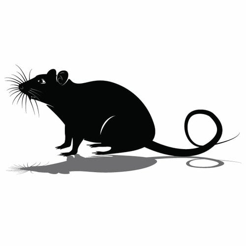 Silhouette de souris de rat