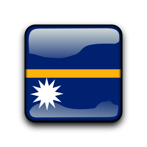 Nauru flag vector