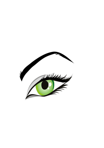 Vector image of ladies green eye with eyebrows