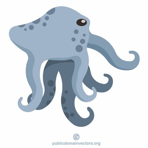 Octopus vis