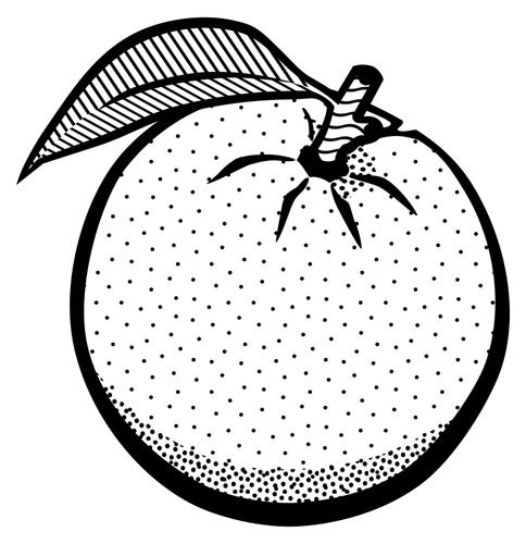 Tegning av en appelsin