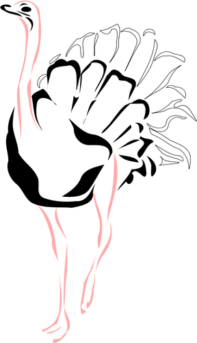 Burung unta dengan kaki merah muda vektor ilustrasi