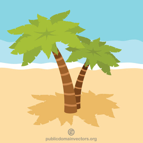 Palmieri pe plajă