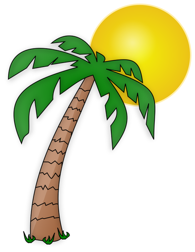 Palmeira e o sol