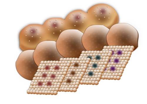 焼菓子のベクトル図