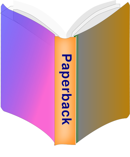 Paperback book icon vector image
